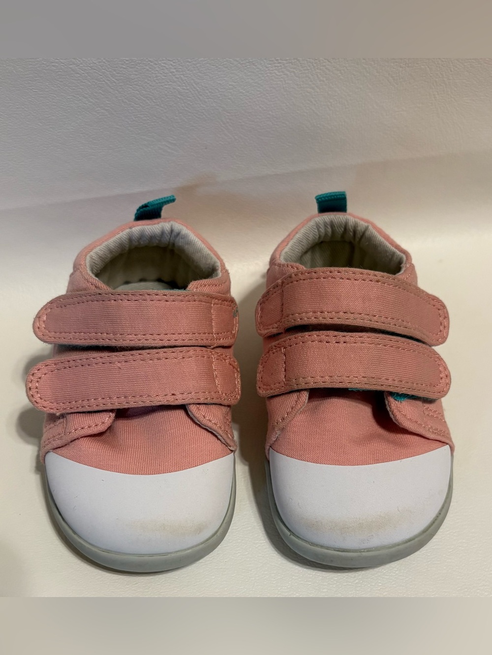 Ten Little First Walkers  Pink Canvas size 4